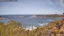 ./images/calvert/foggy-cove/20260503/foggy-cove20260503_110501M.jpg