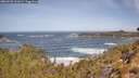 ./images/calvert/foggy-cove/20260503/foggy-cove20260503_111002M.jpg