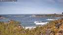 ./images/calvert/foggy-cove/20260503/foggy-cove20260503_111501M.jpg