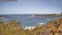 ./images/calvert/foggy-cove/20260503/foggy-cove20260503_112001M.jpg