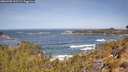 ./images/calvert/foggy-cove/20260503/foggy-cove20260503_112501M.jpg