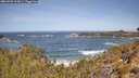 ./images/calvert/foggy-cove/20260503/foggy-cove20260503_113001M.jpg
