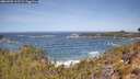 ./images/calvert/foggy-cove/20260503/foggy-cove20260503_113501M.jpg