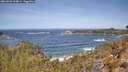 ./images/calvert/foggy-cove/20260503/foggy-cove20260503_114001M.jpg