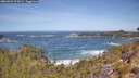./images/calvert/foggy-cove/20260503/foggy-cove20260503_114501M.jpg
