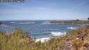 ./images/calvert/foggy-cove/20260503/foggy-cove20260503_115001M.jpg