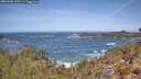 ./images/calvert/foggy-cove/20260503/foggy-cove20260503_115501M.jpg