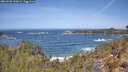 ./images/calvert/foggy-cove/20260503/foggy-cove20260503_120001M.jpg
