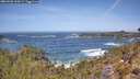 ./images/calvert/foggy-cove/20260503/foggy-cove20260503_120501M.jpg