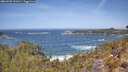 ./images/calvert/foggy-cove/20260503/foggy-cove20260503_121001M.jpg