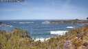 ./images/calvert/foggy-cove/20260503/foggy-cove20260503_121501M.jpg