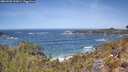 ./images/calvert/foggy-cove/20260503/foggy-cove20260503_122001M.jpg