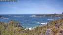./images/calvert/foggy-cove/20260503/foggy-cove20260503_123002M.jpg