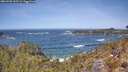 ./images/calvert/foggy-cove/20260503/foggy-cove20260503_123501M.jpg