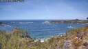./images/calvert/foggy-cove/20260503/foggy-cove20260503_124001M.jpg