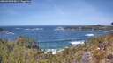 ./images/calvert/foggy-cove/20260503/foggy-cove20260503_124501M.jpg