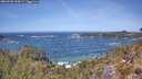./images/calvert/foggy-cove/20260503/foggy-cove20260503_125001M.jpg