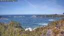./images/calvert/foggy-cove/20260503/foggy-cove20260503_125501M.jpg