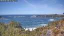 ./images/calvert/foggy-cove/20260503/foggy-cove20260503_130002M.jpg