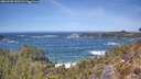 ./images/calvert/foggy-cove/20260503/foggy-cove20260503_130501M.jpg