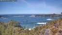 ./images/calvert/foggy-cove/20260503/foggy-cove20260503_131001M.jpg