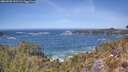 ./images/calvert/foggy-cove/20260503/foggy-cove20260503_131501M.jpg
