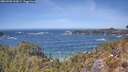 ./images/calvert/foggy-cove/20260503/foggy-cove20260503_132001M.jpg