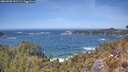 ./images/calvert/foggy-cove/20260503/foggy-cove20260503_132501M.jpg