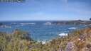 ./images/calvert/foggy-cove/20260503/foggy-cove20260503_133001M.jpg