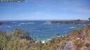 ./images/calvert/foggy-cove/20260503/foggy-cove20260503_133501M.jpg