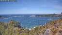 ./images/calvert/foggy-cove/20260503/foggy-cove20260503_134001M.jpg