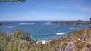 ./images/calvert/foggy-cove/20260503/foggy-cove20260503_134501M.jpg
