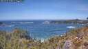 ./images/calvert/foggy-cove/20260503/foggy-cove20260503_135001M.jpg