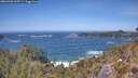 ./images/calvert/foggy-cove/20260503/foggy-cove20260503_135501M.jpg
