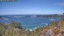 ./images/calvert/foggy-cove/20260503/foggy-cove20260503_140501M.jpg