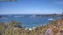 ./images/calvert/foggy-cove/20260503/foggy-cove20260503_141001M.jpg