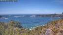 ./images/calvert/foggy-cove/20260503/foggy-cove20260503_141501M.jpg