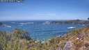 ./images/calvert/foggy-cove/20260503/foggy-cove20260503_142001M.jpg