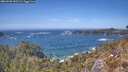 ./images/calvert/foggy-cove/20260503/foggy-cove20260503_142501M.jpg