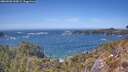 ./images/calvert/foggy-cove/20260503/foggy-cove20260503_143001M.jpg