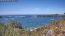 ./images/calvert/foggy-cove/20260503/foggy-cove20260503_144001M.jpg
