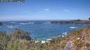 ./images/calvert/foggy-cove/20260503/foggy-cove20260503_145501M.jpg