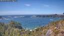 ./images/calvert/foggy-cove/20260503/foggy-cove20260503_151002M.jpg