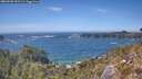 ./images/calvert/foggy-cove/20260503/foggy-cove20260503_151501M.jpg