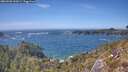 ./images/calvert/foggy-cove/20260503/foggy-cove20260503_152001M.jpg