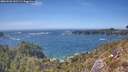 ./images/calvert/foggy-cove/20260503/foggy-cove20260503_152501M.jpg