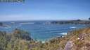 ./images/calvert/foggy-cove/20260503/foggy-cove20260503_153001M.jpg