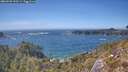 ./images/calvert/foggy-cove/20260503/foggy-cove20260503_153501M.jpg