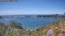 ./images/calvert/foggy-cove/20260503/foggy-cove20260503_154001M.jpg