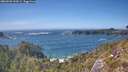 ./images/calvert/foggy-cove/20260503/foggy-cove20260503_154501M.jpg